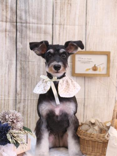 20241014音ちゃん